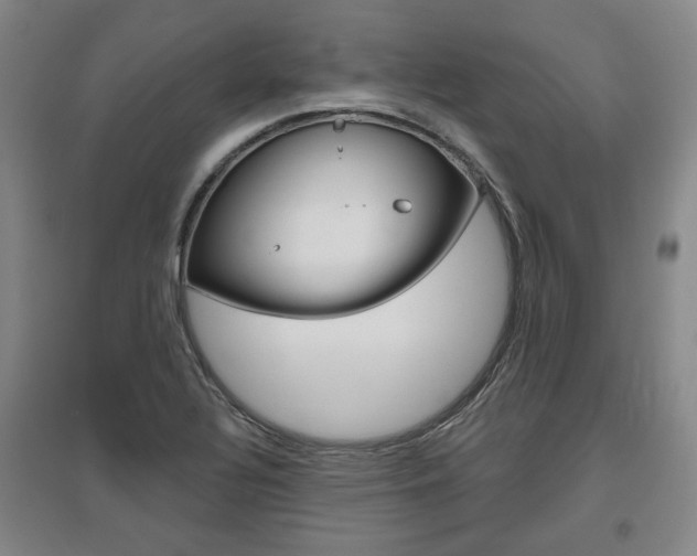 X0000095881320200801110755