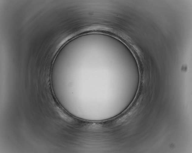 X0000095881321200801110755