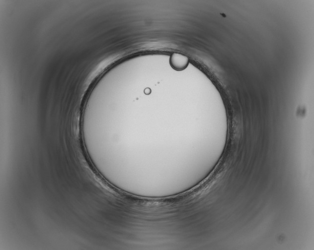 X0000095881322200801110755