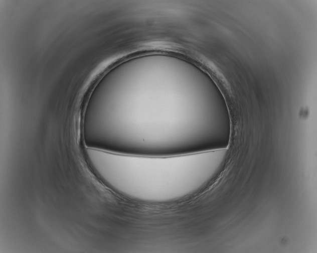 X0000095881323200801110755