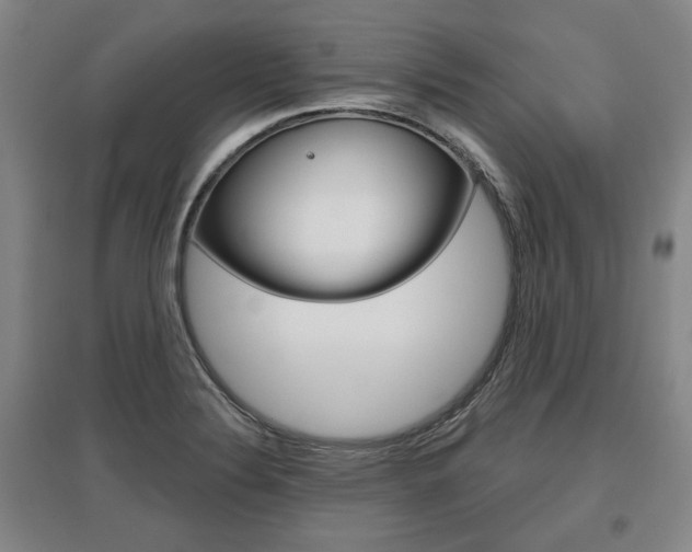 X0000095881324200801110755