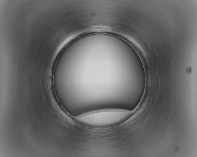 X0000095881325200801110755