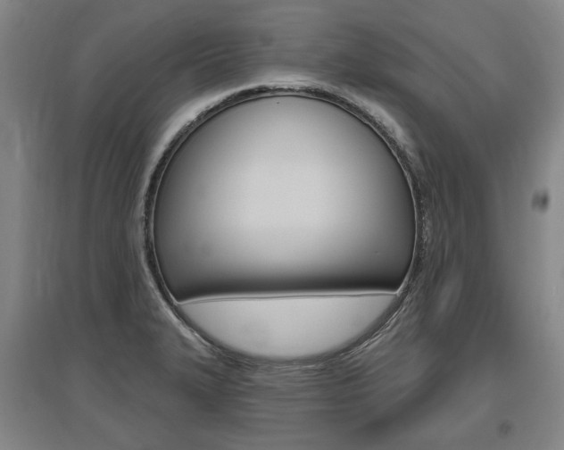 X0000095881327200801110755