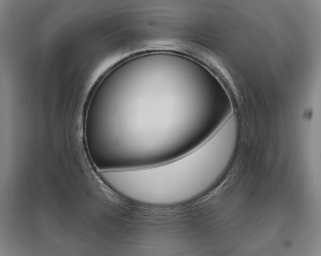 X0000095881328200801110755