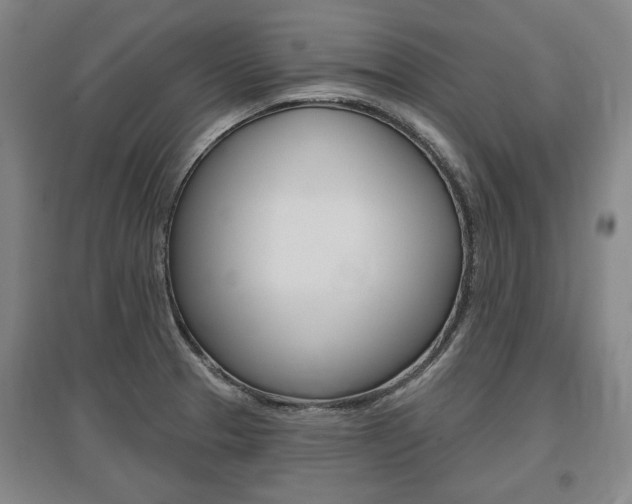 X0000095881329200801110755