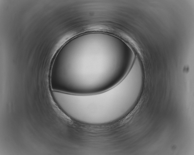 X0000095881330200801110755