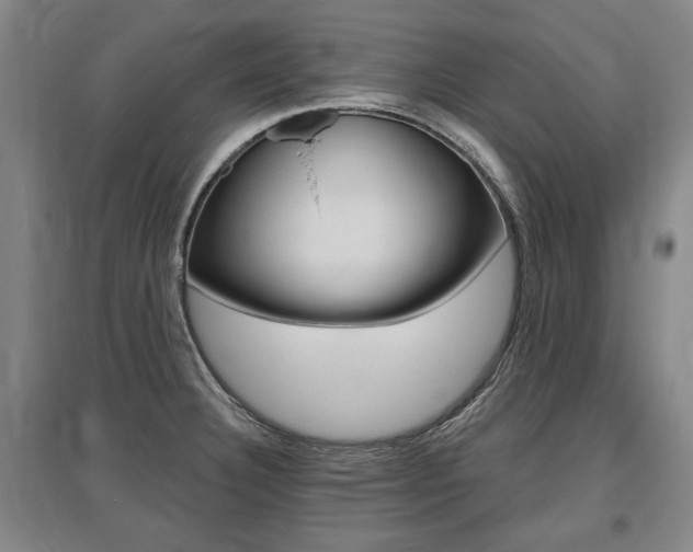 X0000095881332200801110755