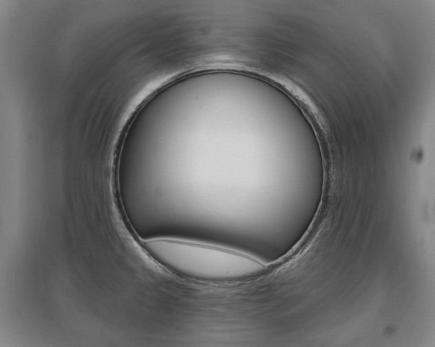 X0000095881333200801110755