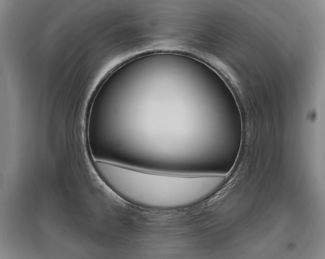X0000095881334200801110755