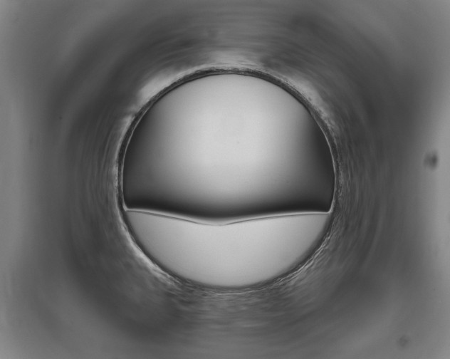X0000095881335200801110755
