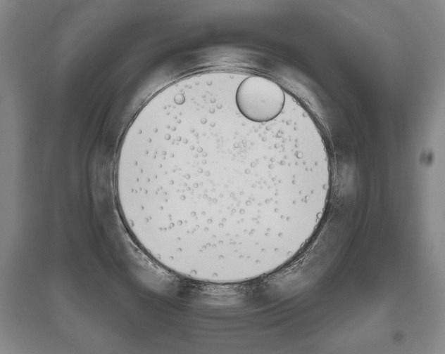 X0000095881338200801110755