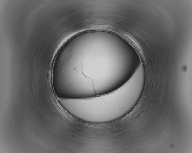 X0000095881340200801110755