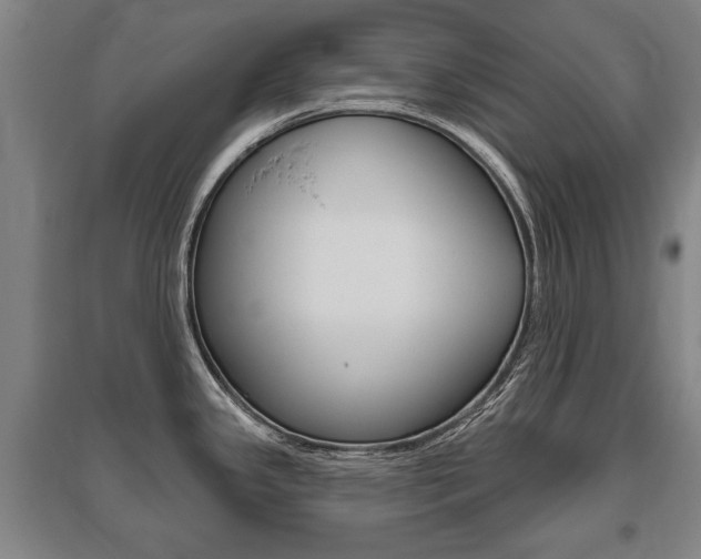 X0000095881341200801110755