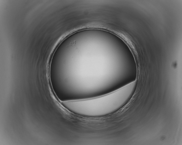 X0000095881342200801110755