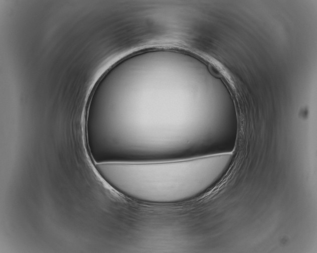 X0000095881343200801110755