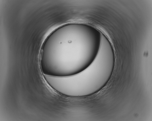 X0000095881344200801110755