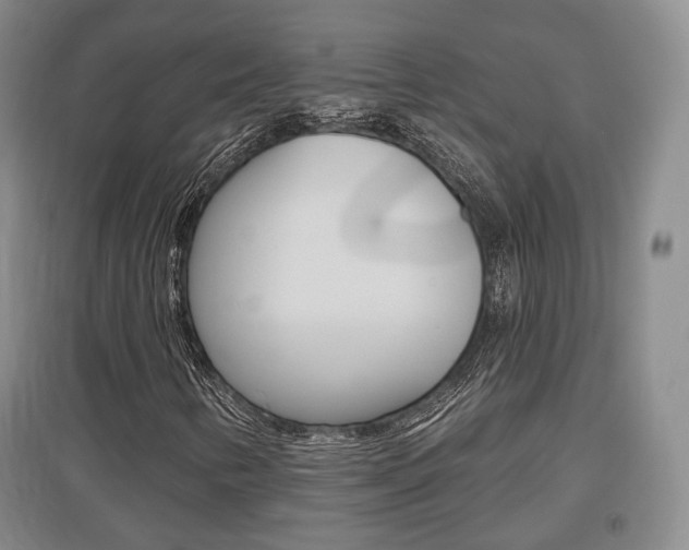 X0000095881346200801110755