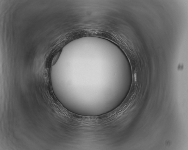 X0000095881347200801110755