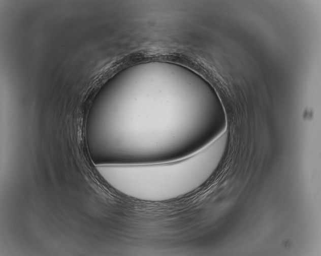 X0000095881348200801110755
