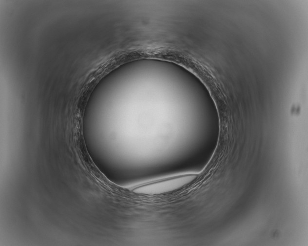 X0000095881349200801110755