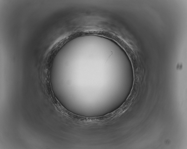 X0000095881351200801110755
