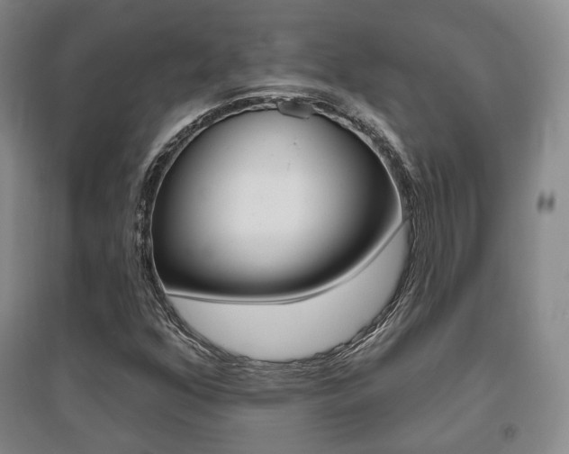 X0000095881352200801110755