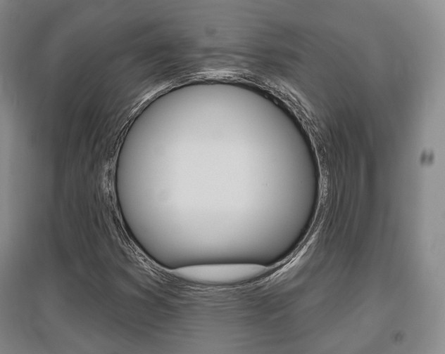 X0000095881353200801110754