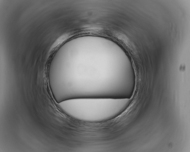 X0000095881354200801110754