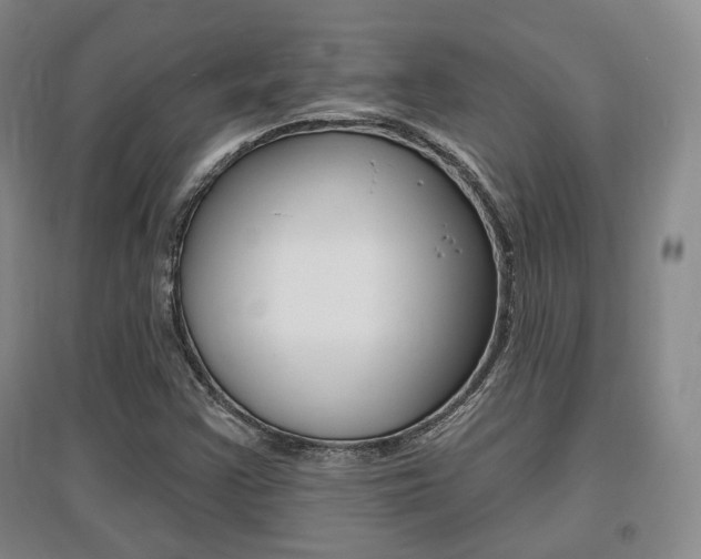 X0000095881355200801110754