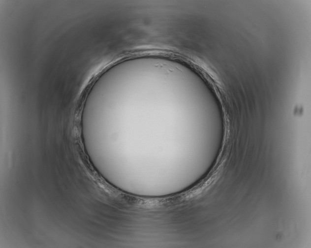 X0000095881357200801110754