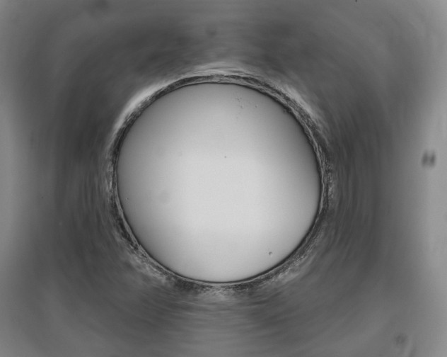 X0000095881358200801110754