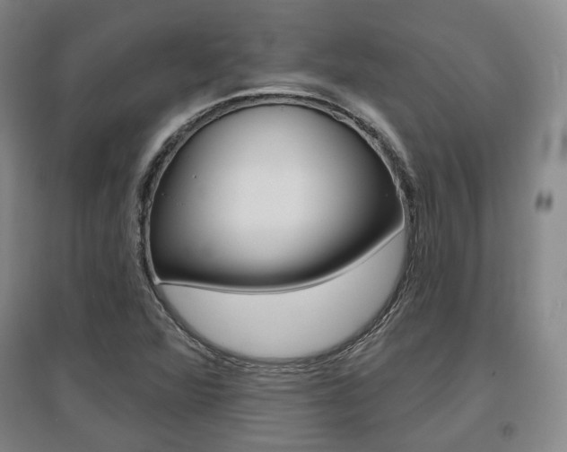 X0000095881360200801110754