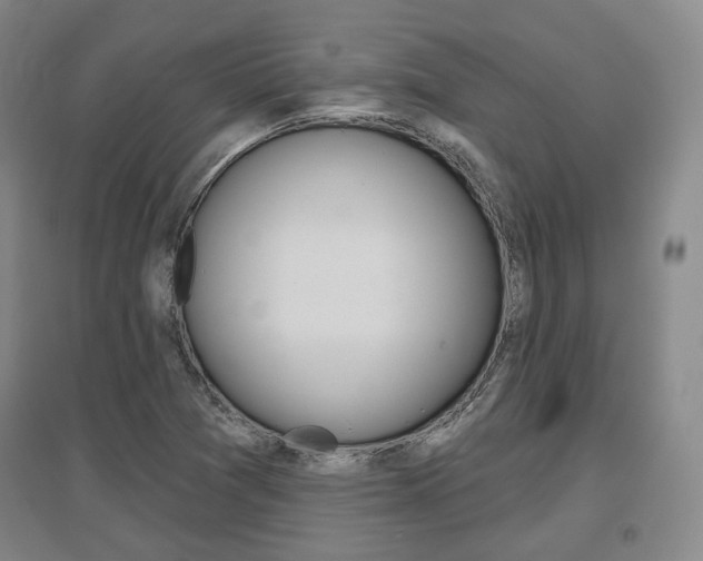 X0000095881361200801110754