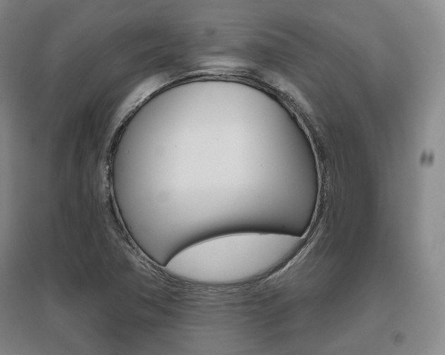 X0000095881362200801110754