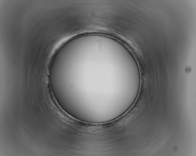 X0000095881363200801110754