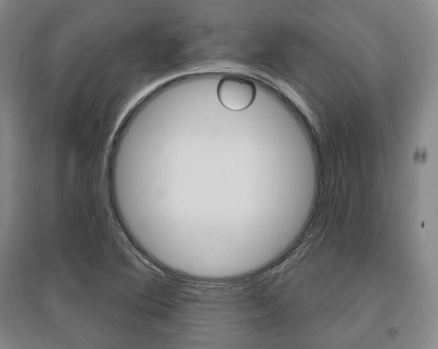 X0000095881364200801110754