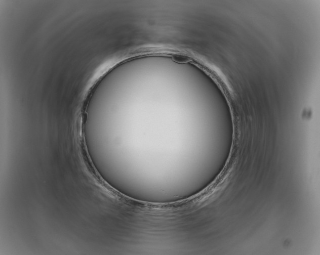 X0000095881365200801110754