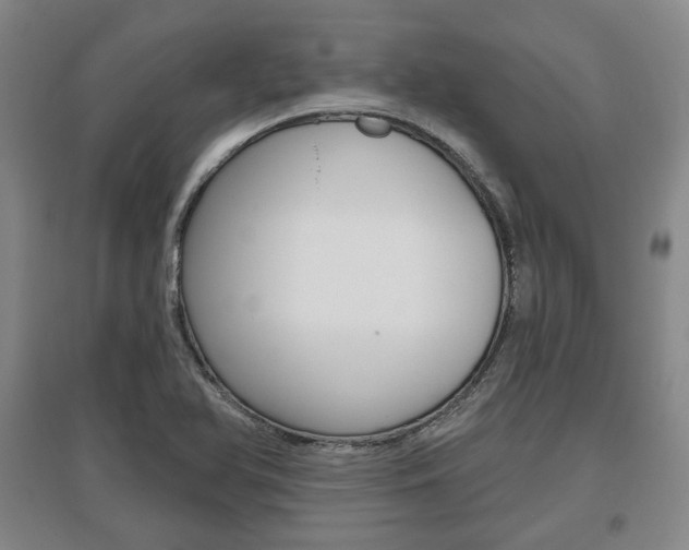 X0000095881366200801110754
