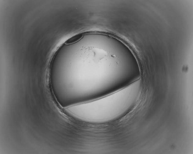 X0000095881367200801110754