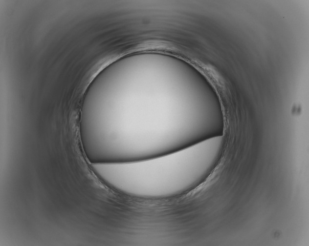 X0000095881369200801110754