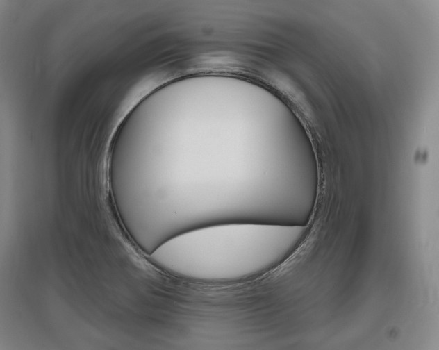 X0000095881370200801110754