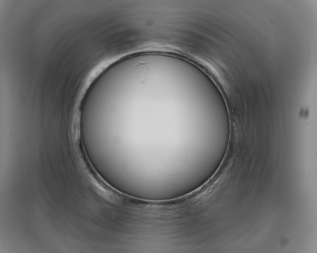 X0000095881371200801110754