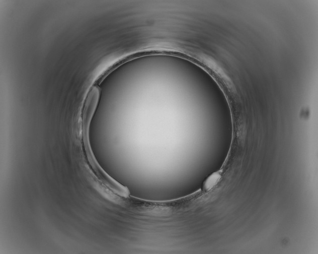 X0000095881372200801110754