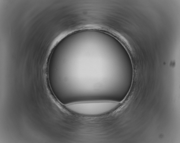 X0000095881373200801110754
