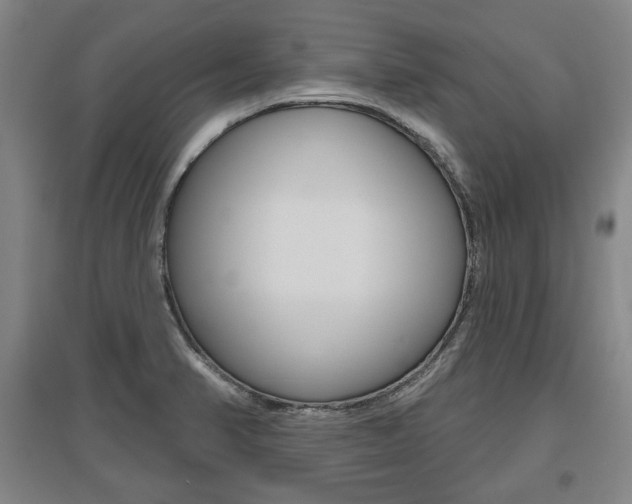 X0000095881374200801110754