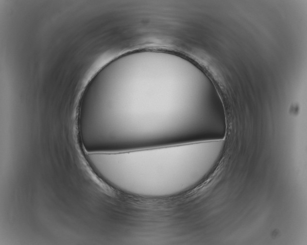 X0000095881375200801110754