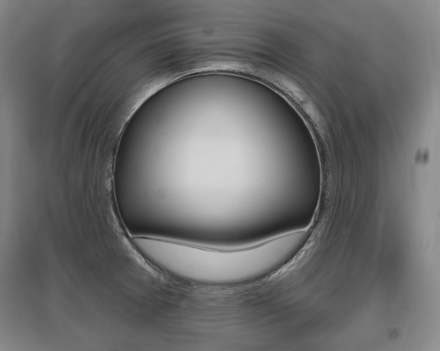 X0000095881377200801110754