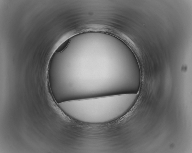 X0000095881378200801110754