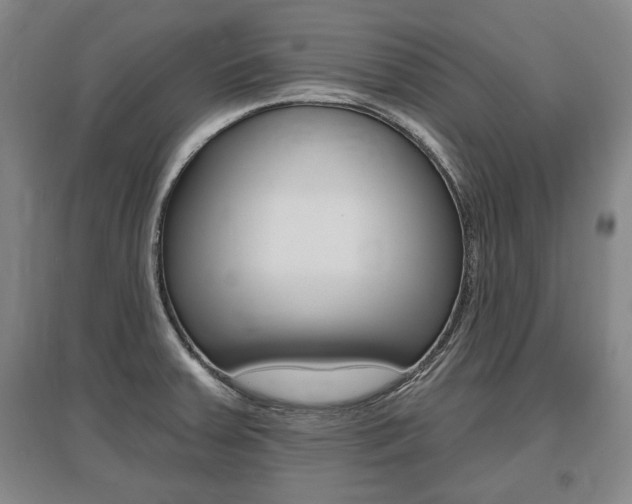 X0000095881379200801110754