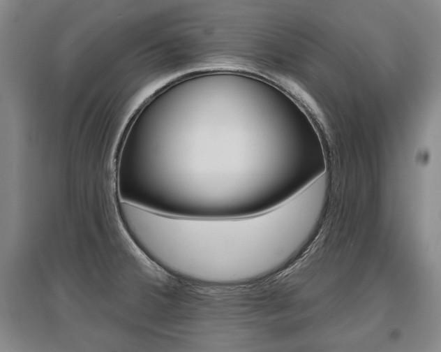 X0000095881380200801110754
